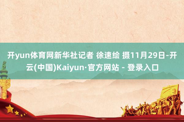 开yun体育网　　新华社记者 徐速绘 摄　　11月29日-开云(中国)Kaiyun·官方网站 - 登录入口