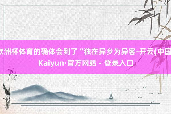 欧洲杯体育的确体会到了“独在异乡为异客-开云(中国)Kaiyun·官方网站 - 登录入口