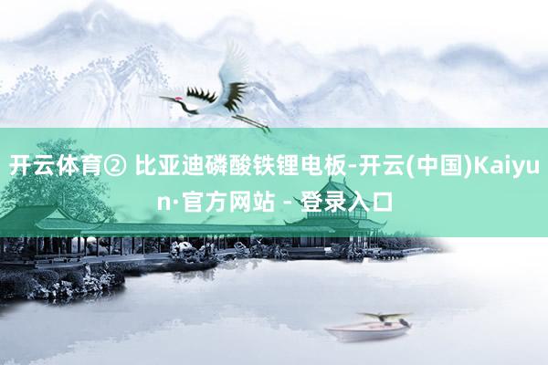 开云体育② 比亚迪磷酸铁锂电板-开云(中国)Kaiyun·官方网站 - 登录入口