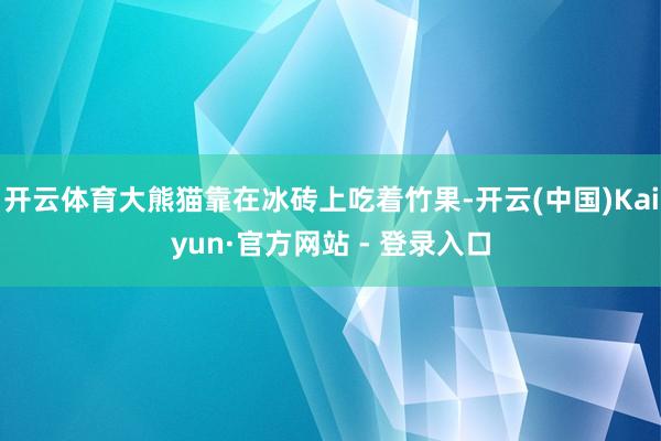 开云体育大熊猫靠在冰砖上吃着竹果-开云(中国)Kaiyun·官方网站 - 登录入口
