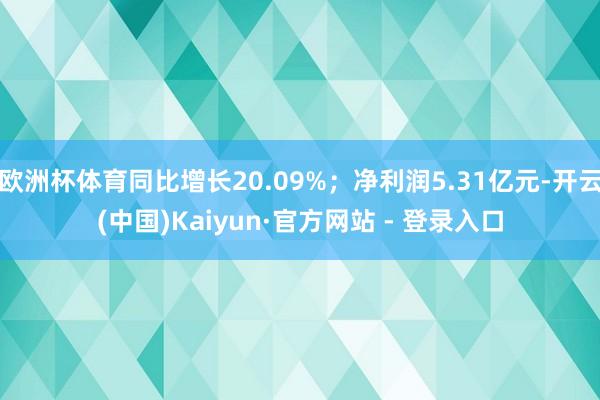 欧洲杯体育同比增长20.09%；净利润5.31亿元-开云(中国)Kaiyun·官方网站 - 登录入口