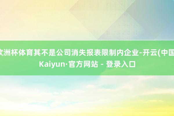 欧洲杯体育其不是公司消失报表限制内企业-开云(中国)Kaiyun·官方网站 - 登录入口