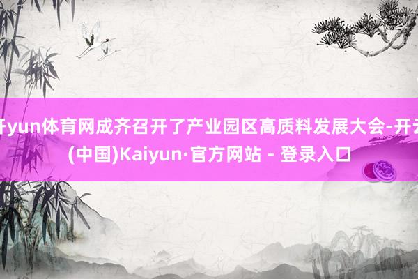 开yun体育网成齐召开了产业园区高质料发展大会-开云(中国)Kaiyun·官方网站 - 登录入口